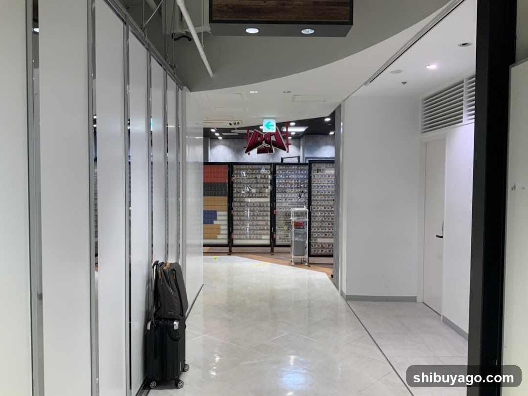 Interior hallway with luggage and display cases