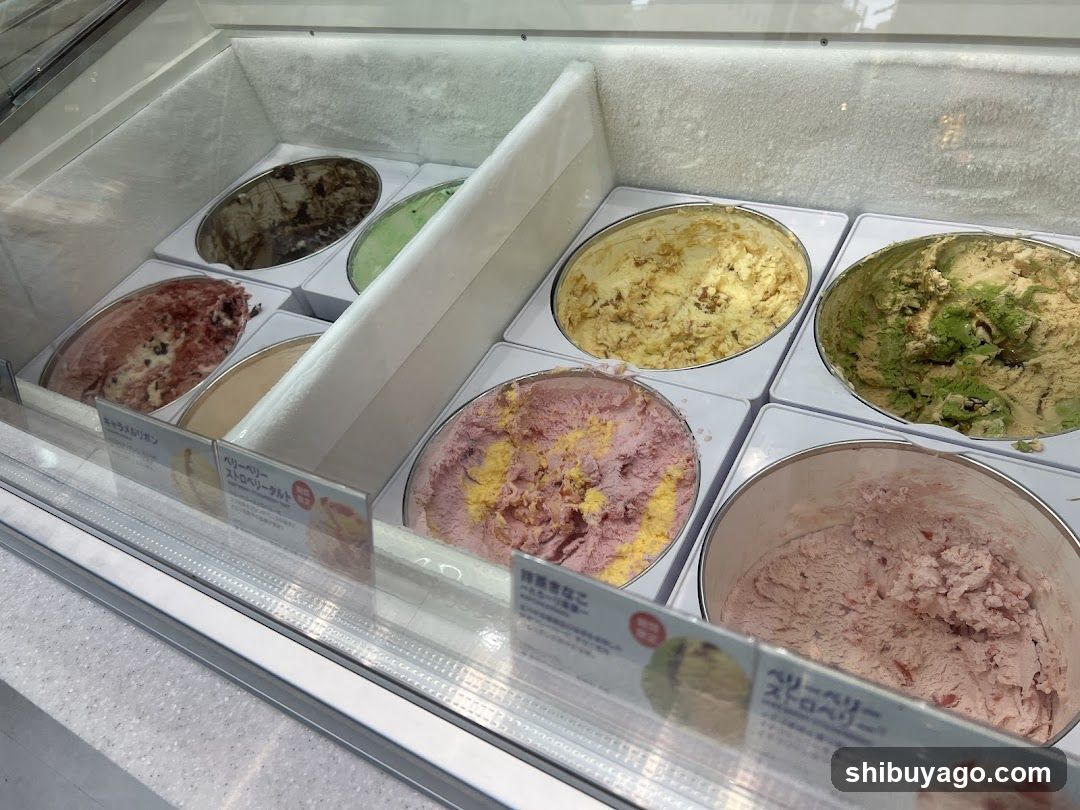 Ice Cream Display Case