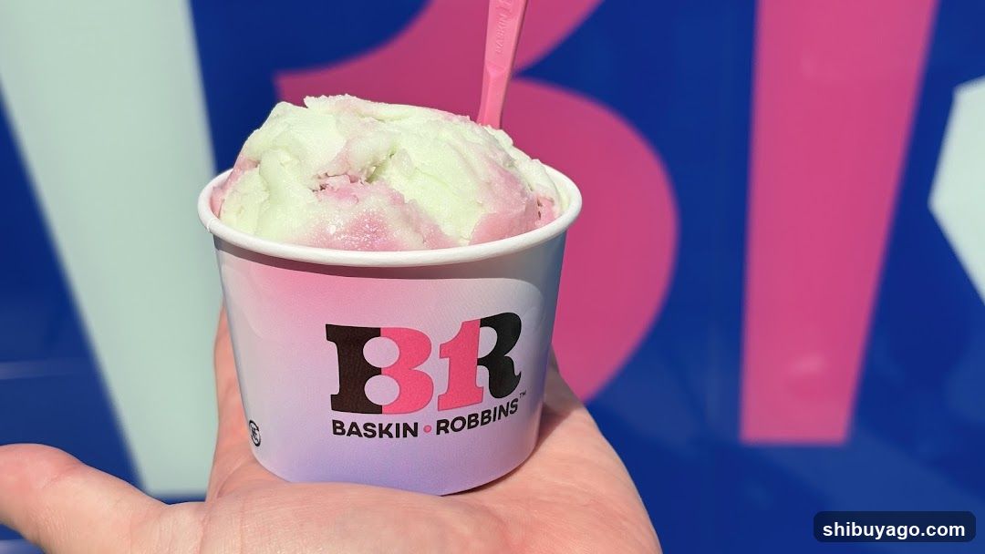 Baskin Robbins Ice Cream Cup