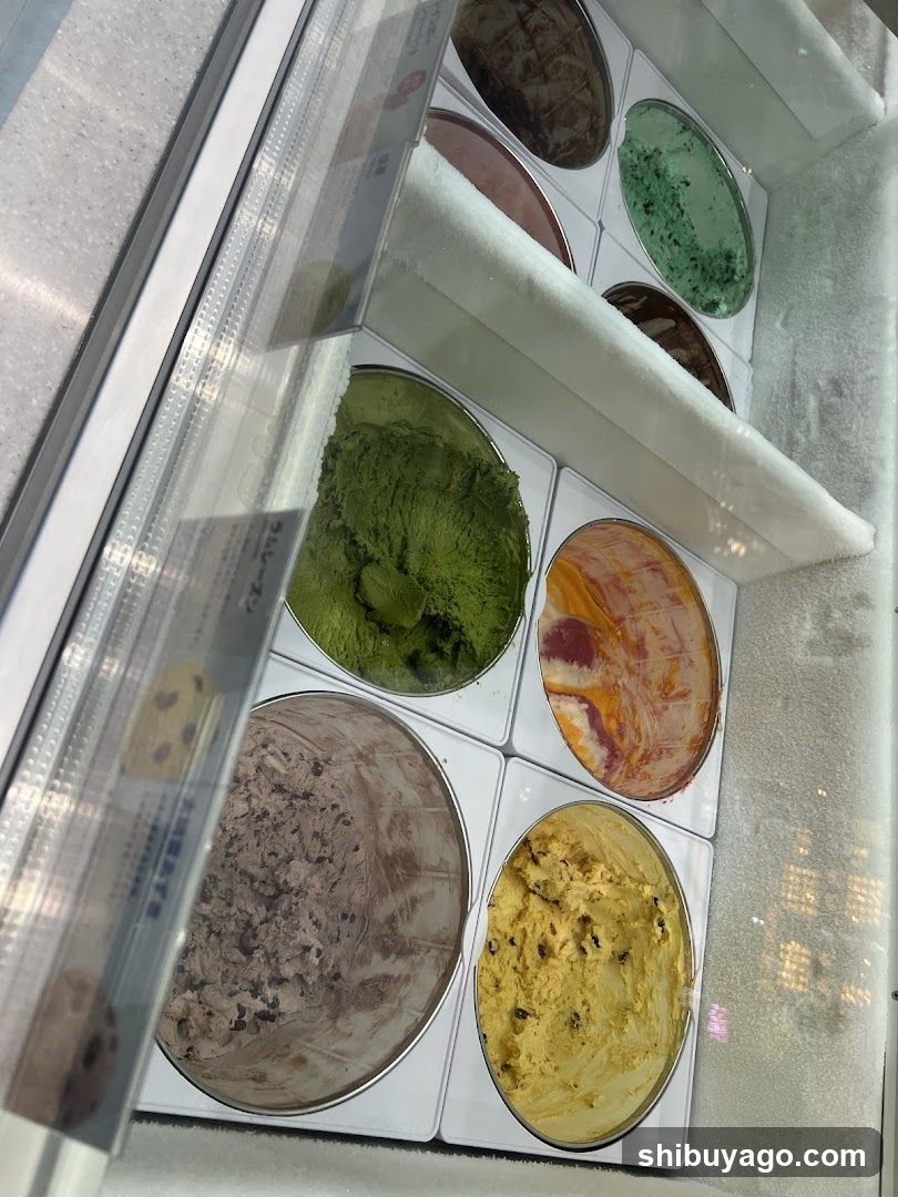 Ice Cream Display Case