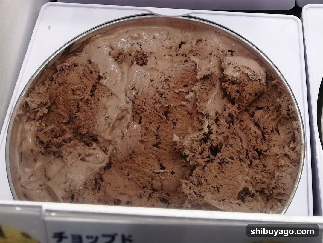Chocolate Ice Cream