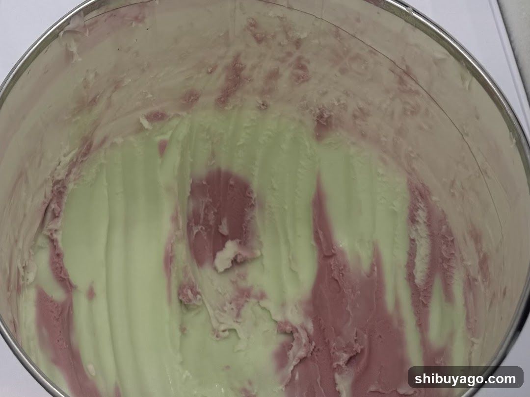 Bowl of Swirled Ice Cream Mixture