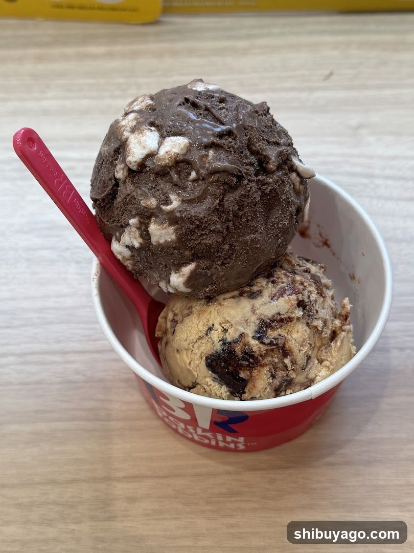 Baskin Robbins Ice Cream Cup