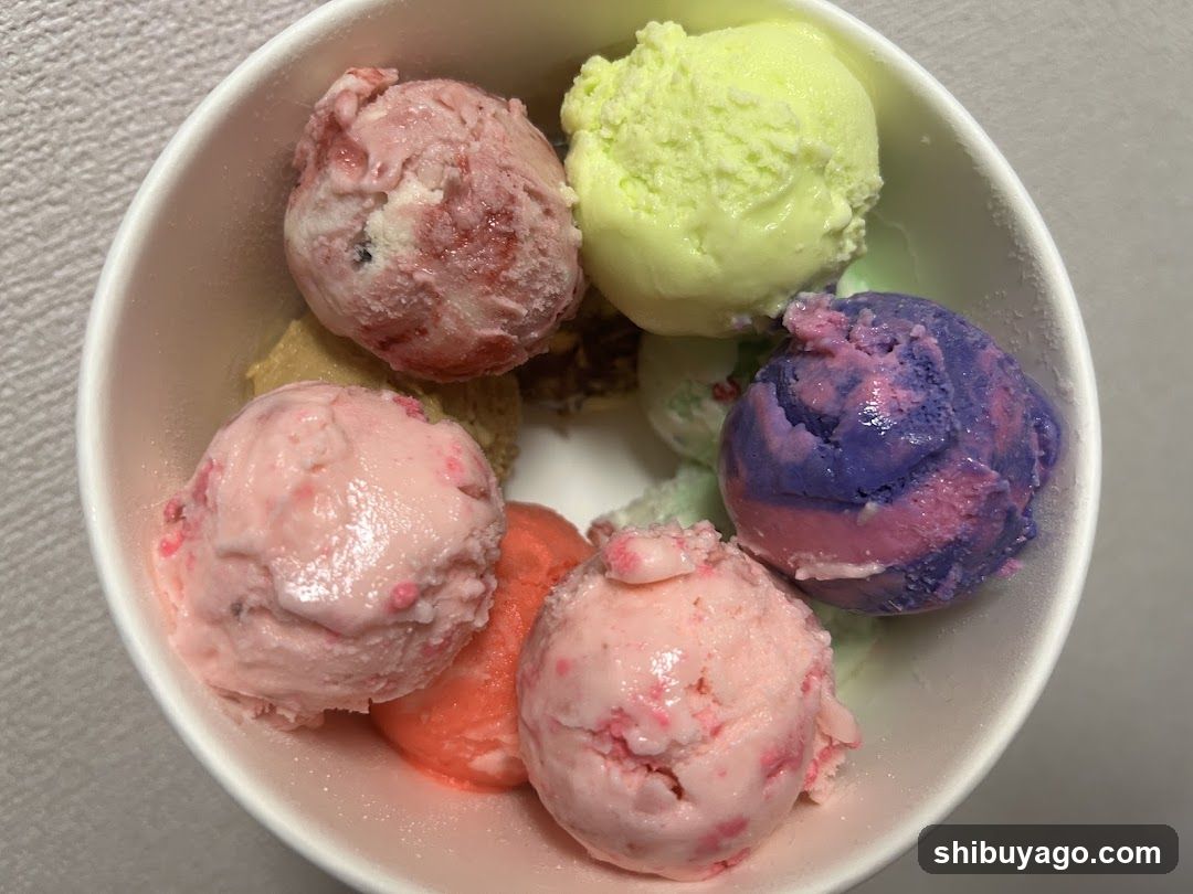 Ice Cream Bowl