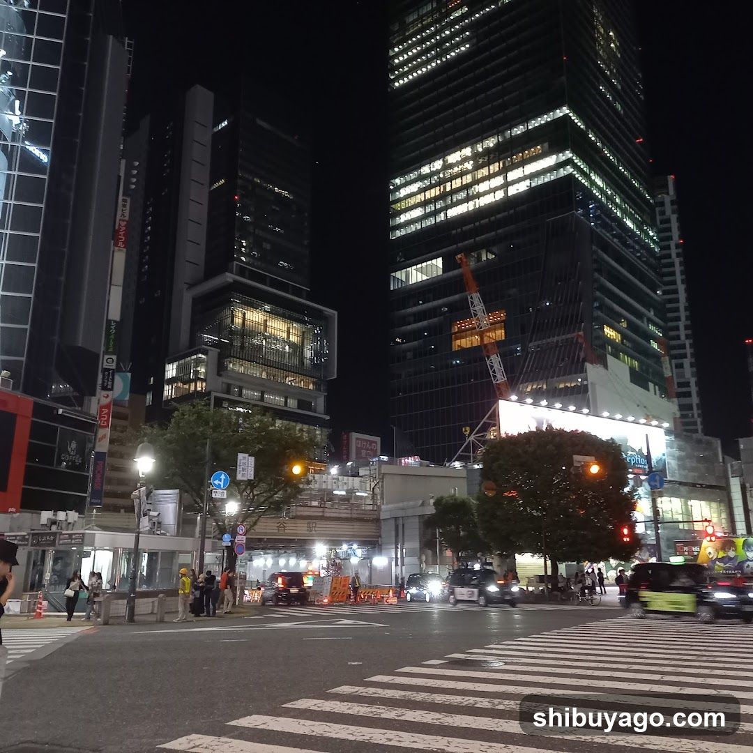 Night City Street View
