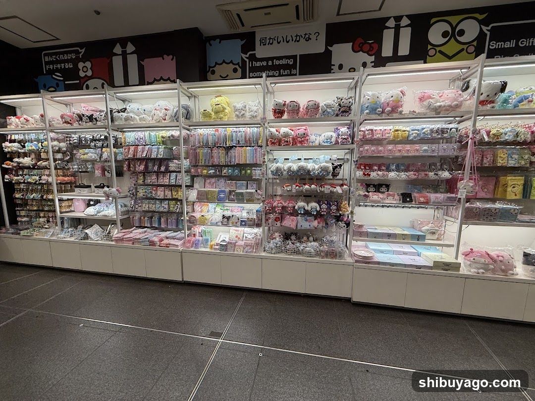 Merchandise Display Shelf