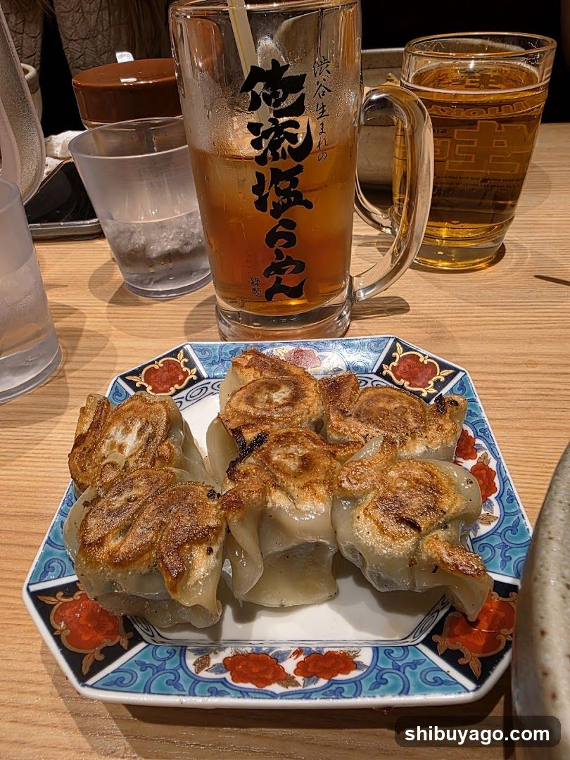 Gyoza and Beer at Japanese Restaurant