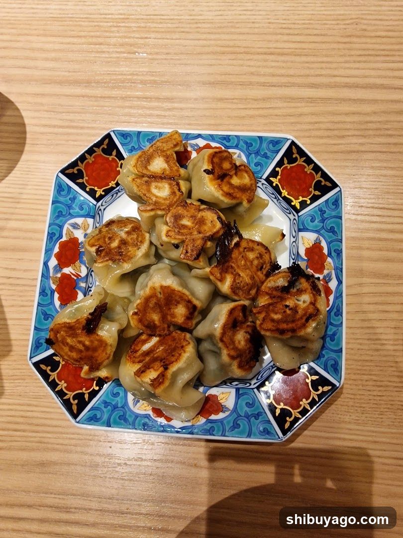 Pan-fried Dumplings on Decorative Plate