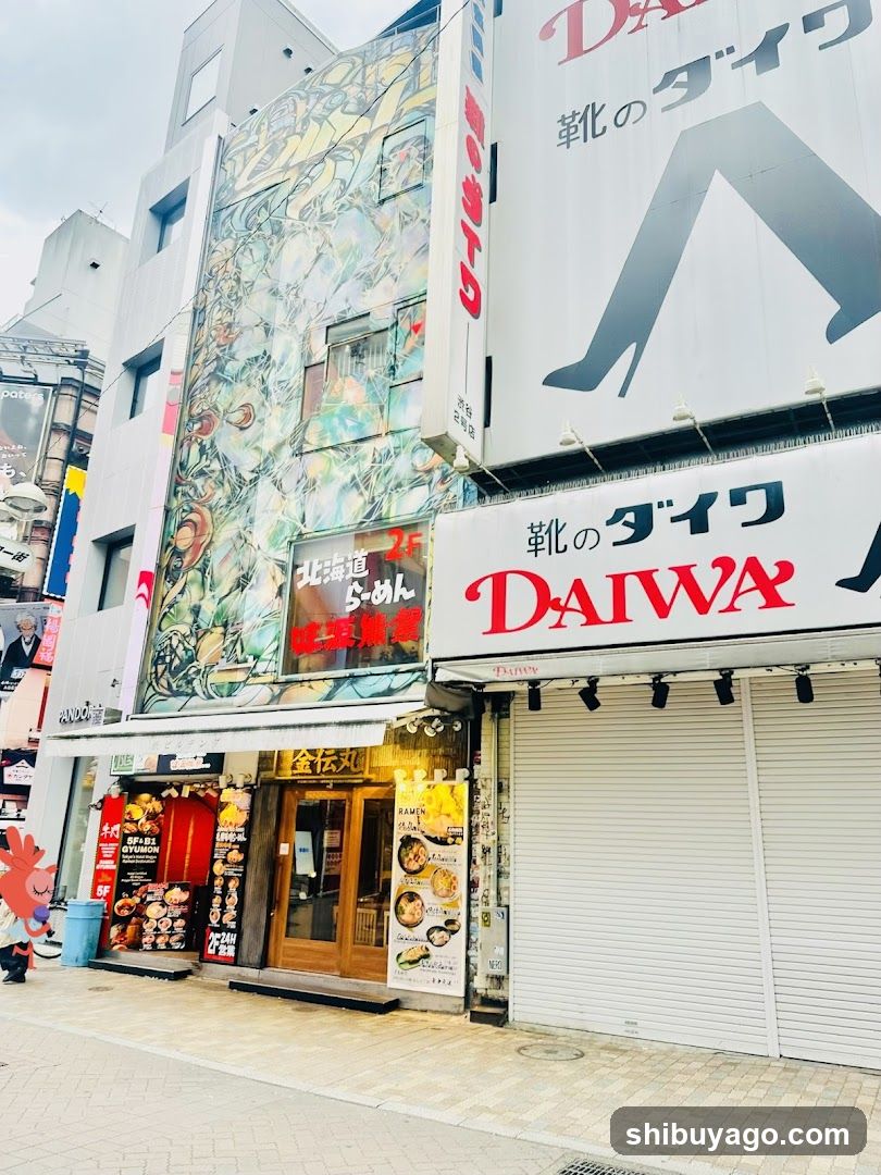 DAIWA Shoes