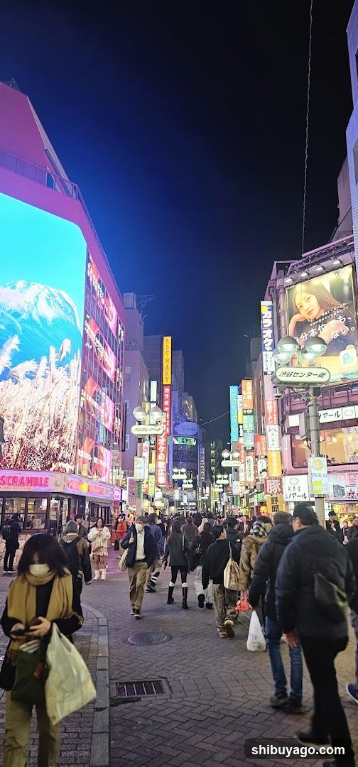 Night Street Scene with Crowds and Neon Signs