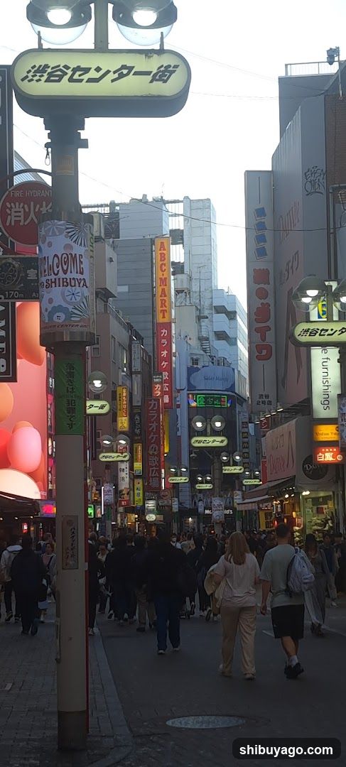 Shibuya Center Street
