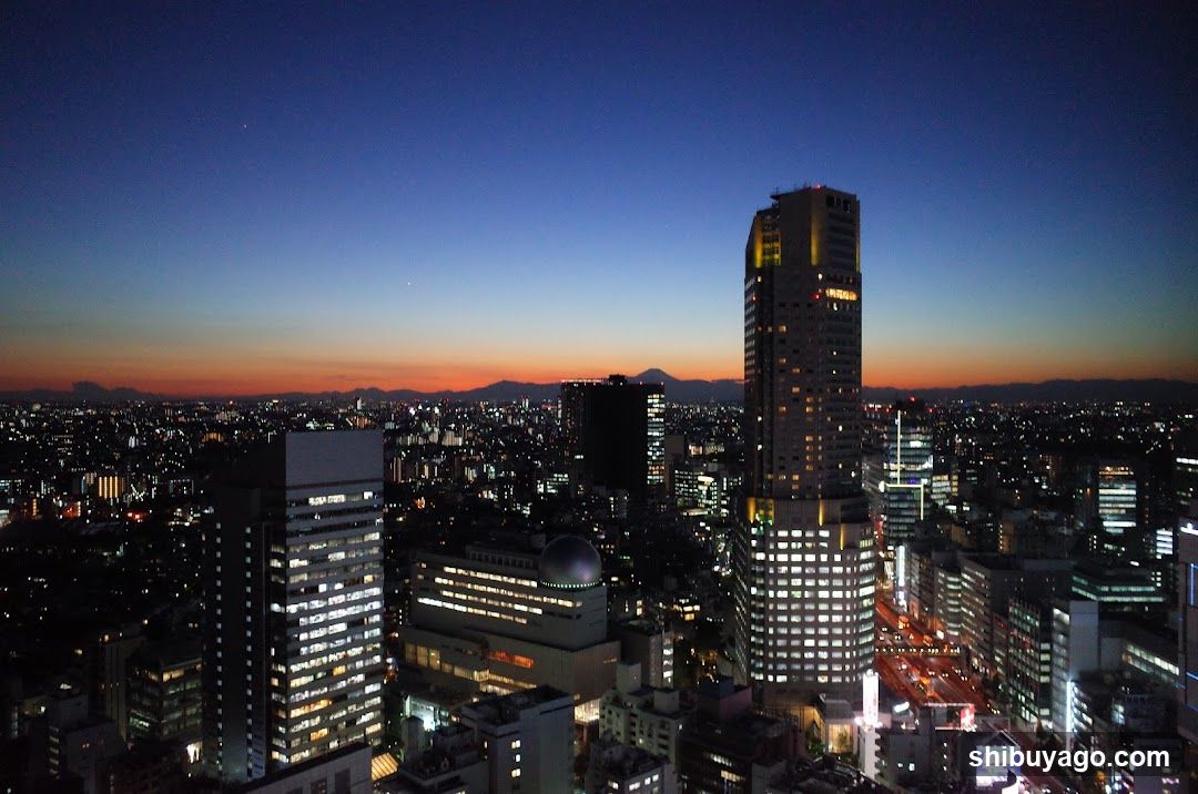Dusk Cityscape with Tokyo Skyline
