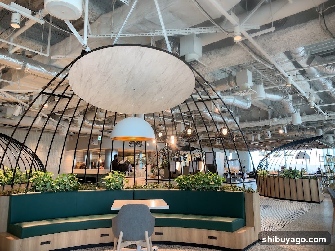 Modern Cafe Interior with Unique Lighting