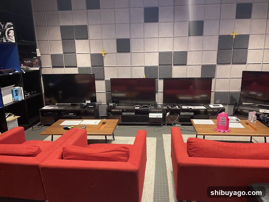 Living Room Setup with Soundproofing Panels