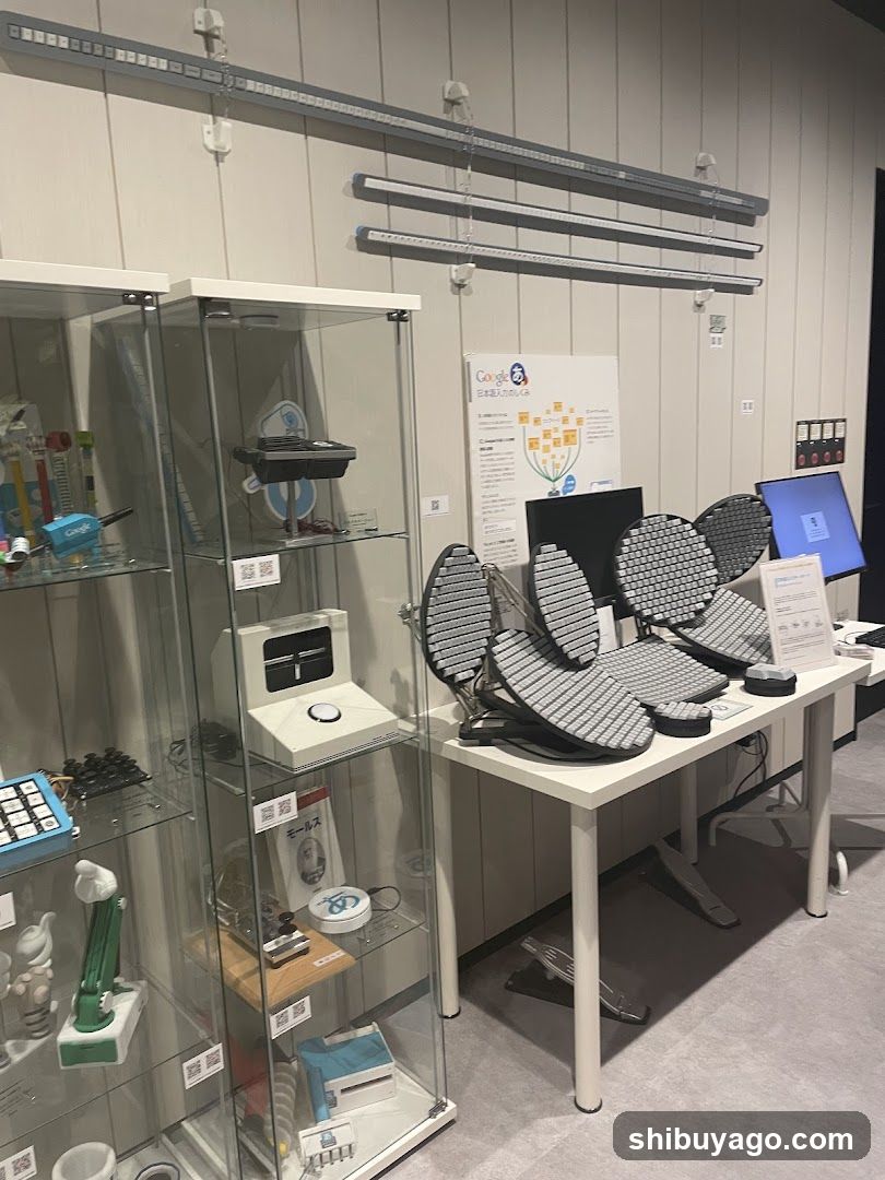 Product Display Area