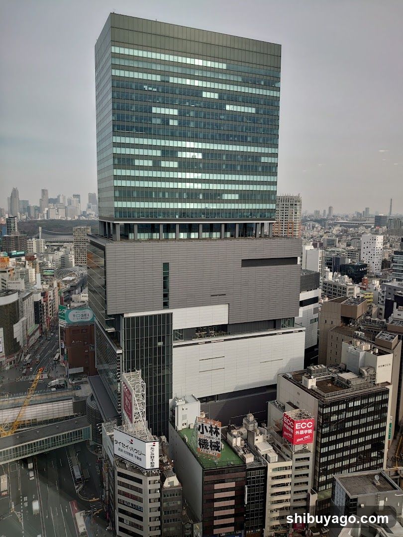 Urban Skyline View with Modern Building