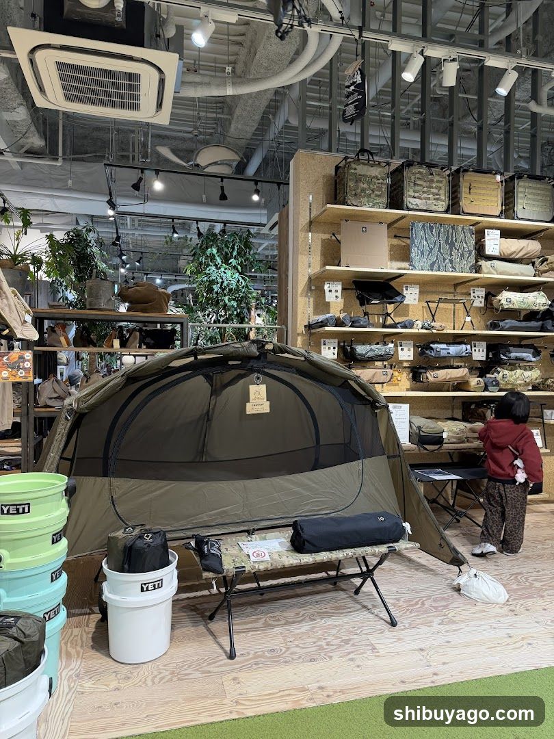 Camping Gear Display Store Interior