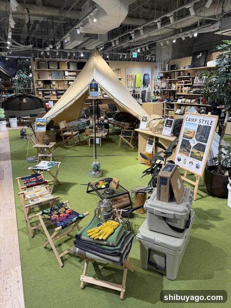 Camping Gear Display