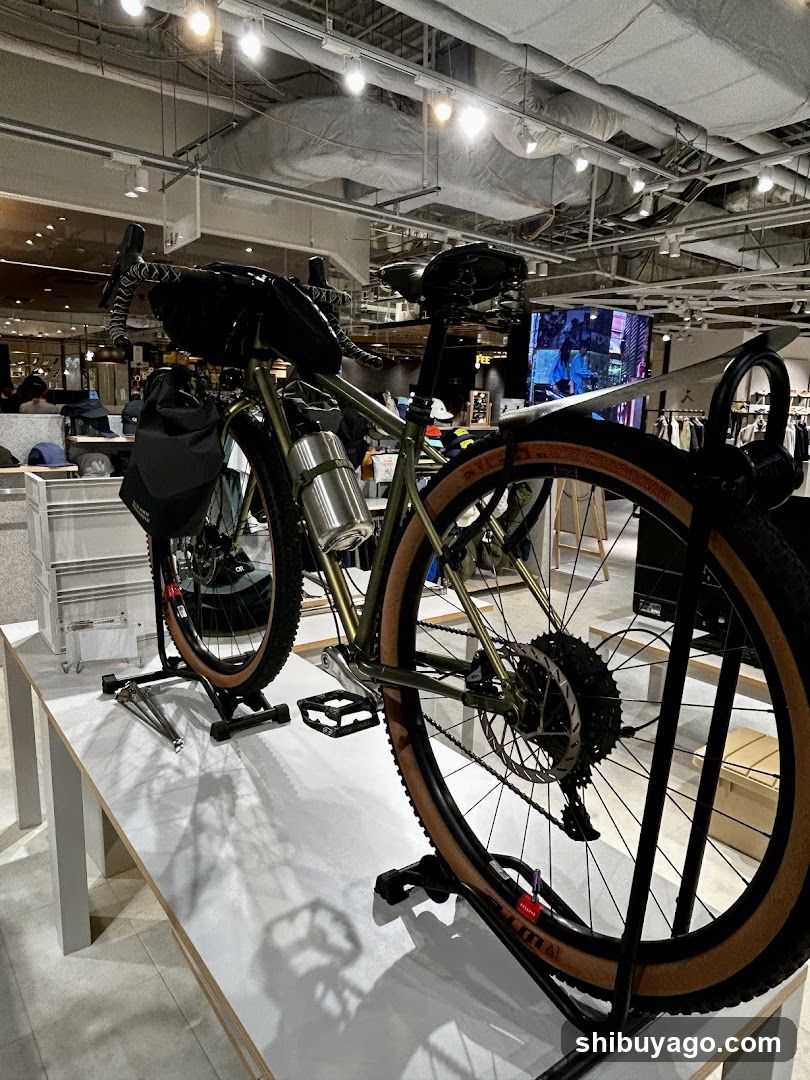 Bicycle Display in Store Interior