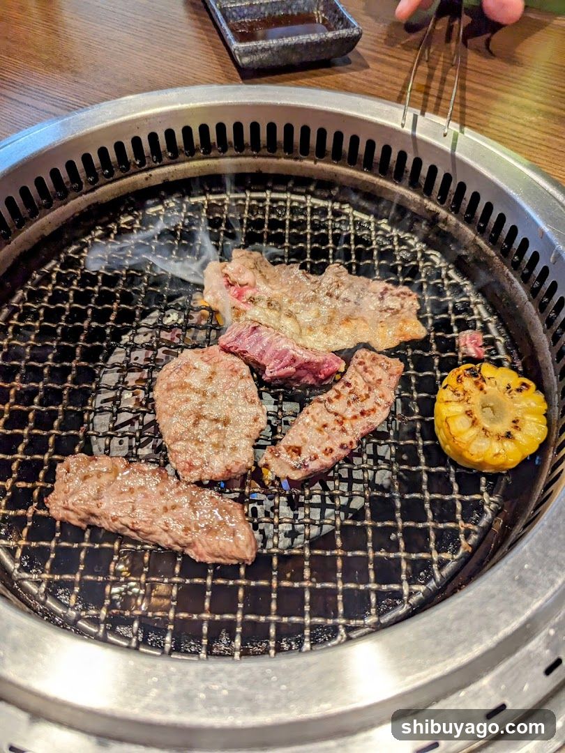 Grilled Meat on BBQ Grill