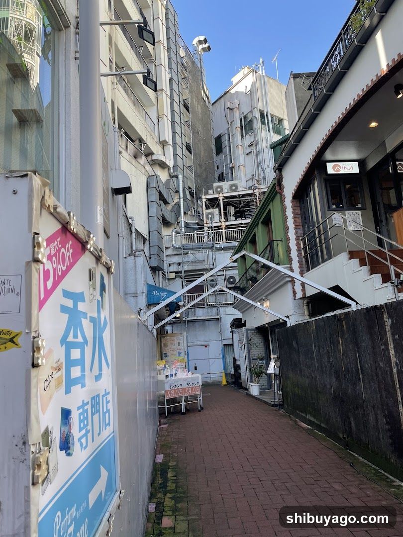 Urban Alleyway with Storefronts and Signage