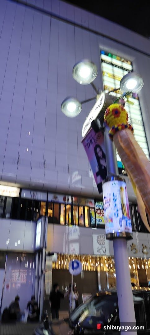 Night Street Scene with Decorated Pole