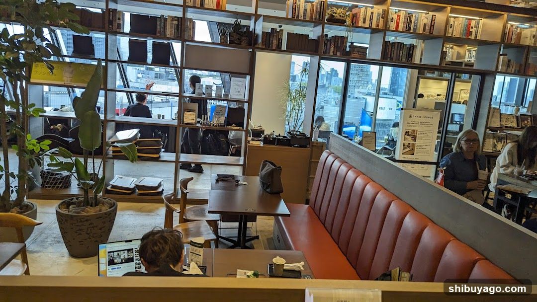 Cozy Cafe Interior with Bookshelves and City View