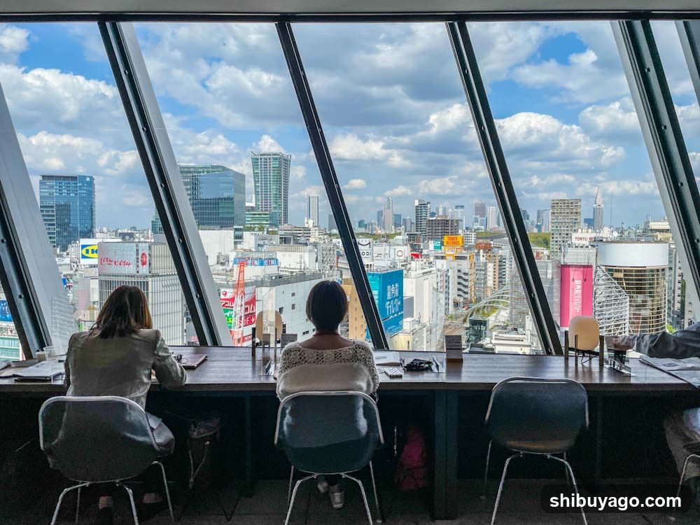 City View from High-Rise Office