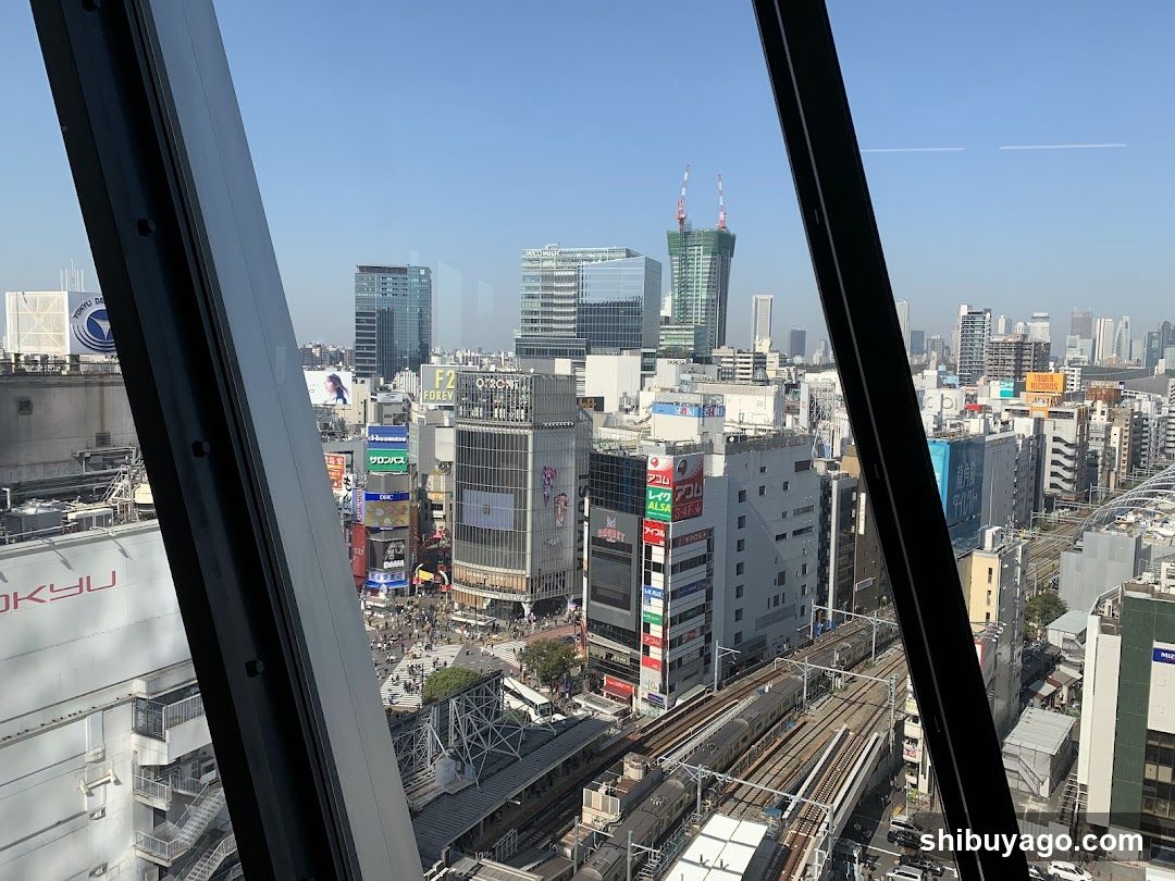 Cityscape View from High Building