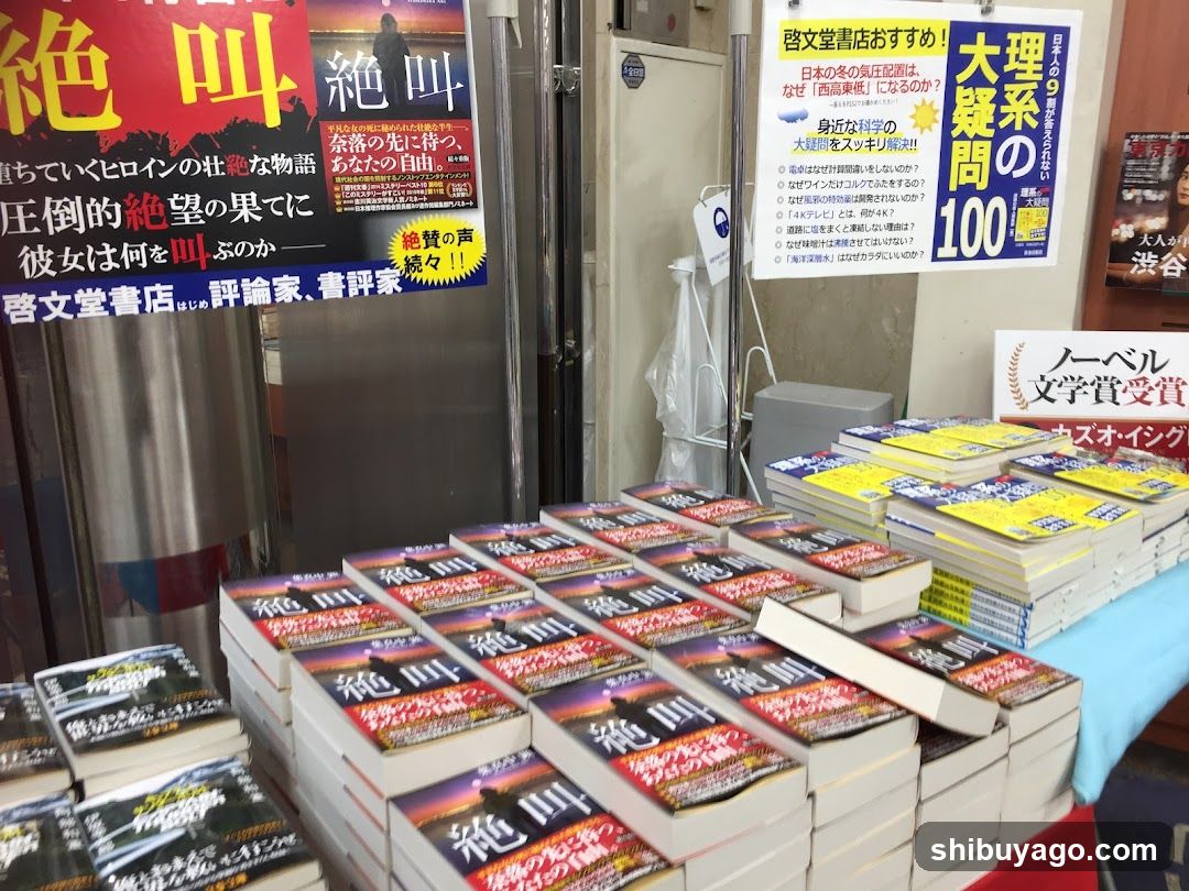 Bookstore Display with Signage