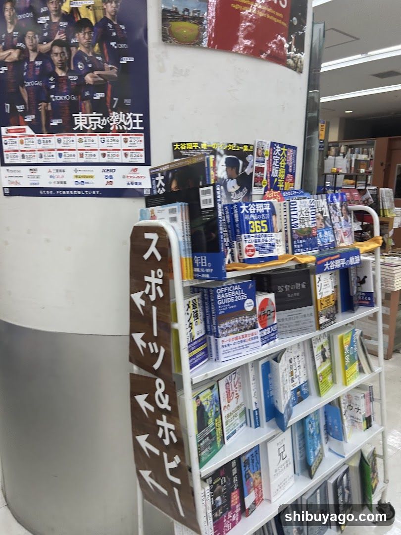 Book Display Shelf in Store Interior