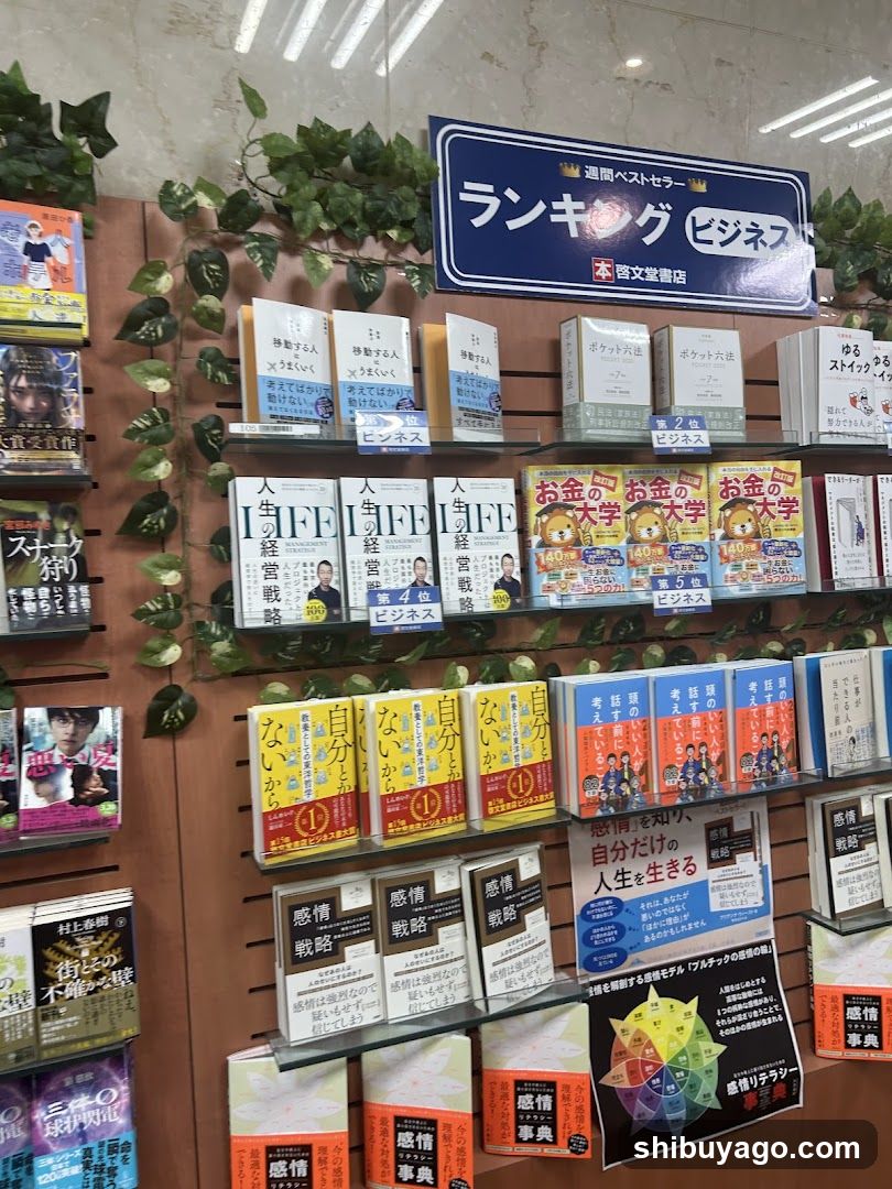 Book Display Shelf
