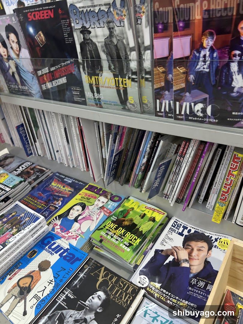 Magazine Shelf Display