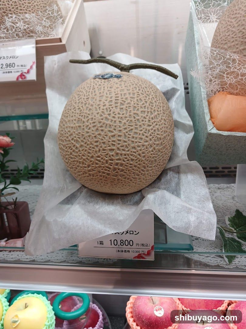 Melon Display