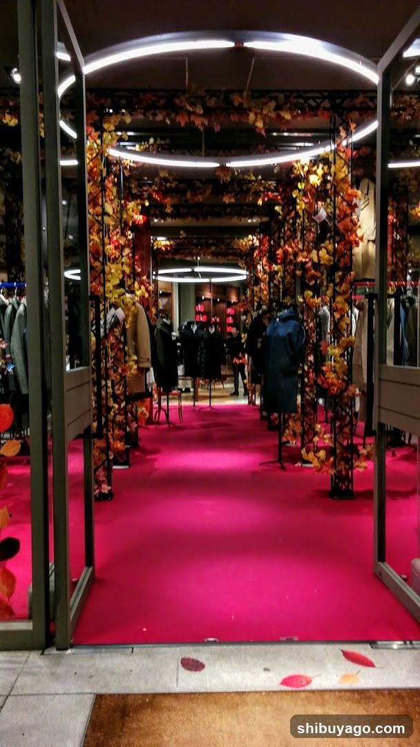 Autumn Fashion Store Interior