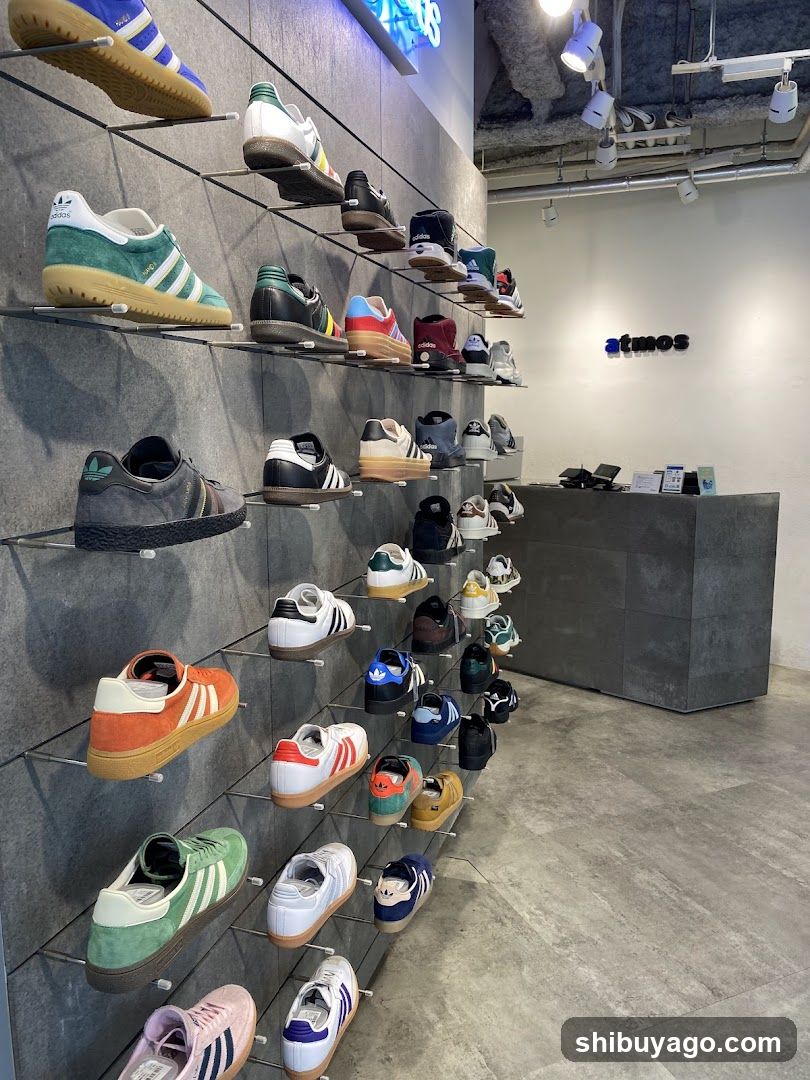 Shoe Store Interior Display