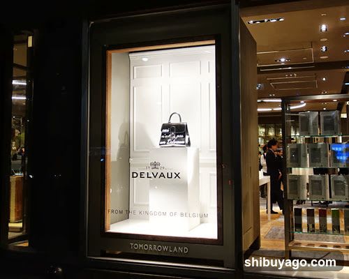 Delvaux Storefront Display