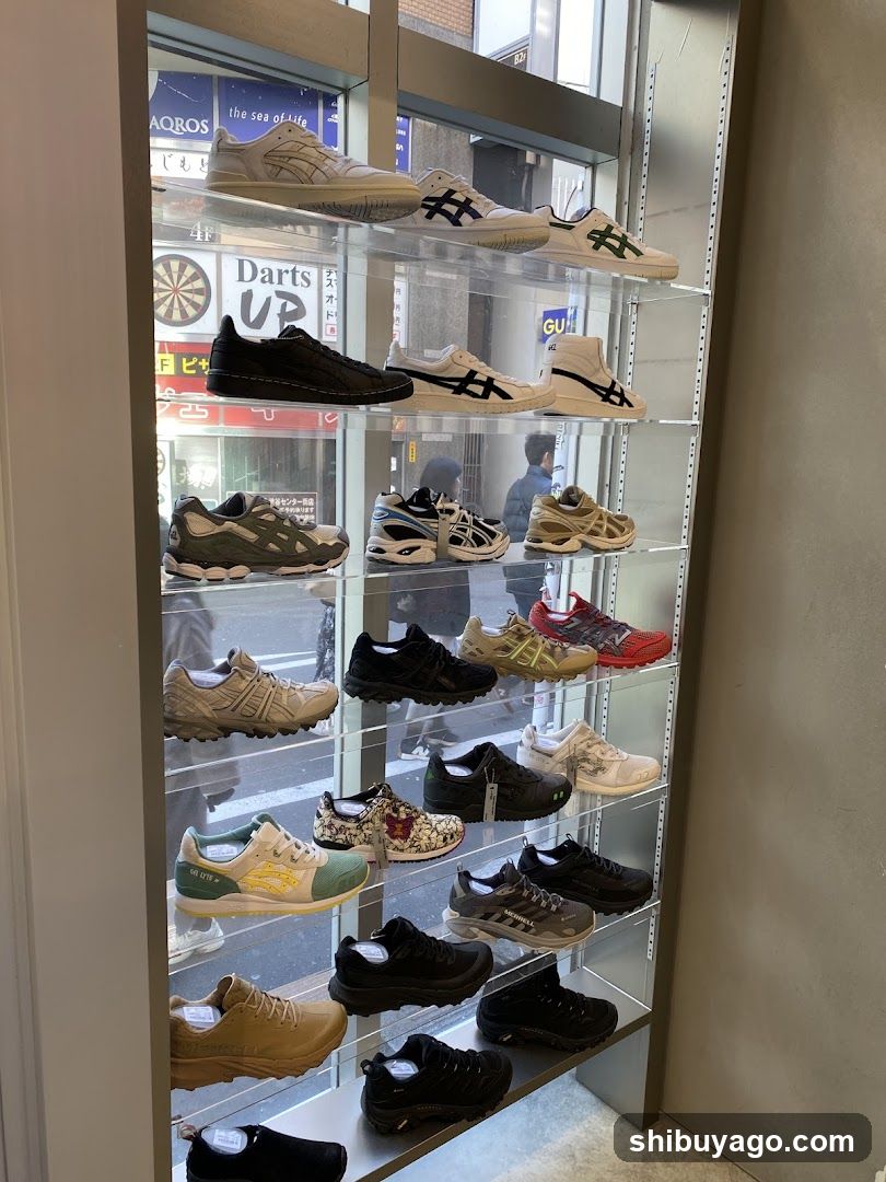 Shoe Display Case