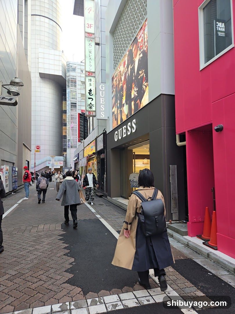 Street Scene with Shops and Pedestrians