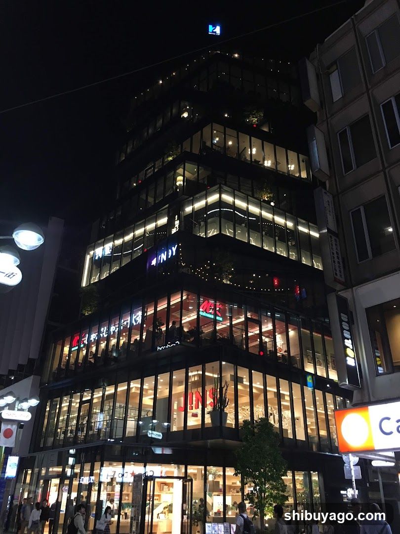 Night view of a multi-story glass building with illuminated signage and storefronts
