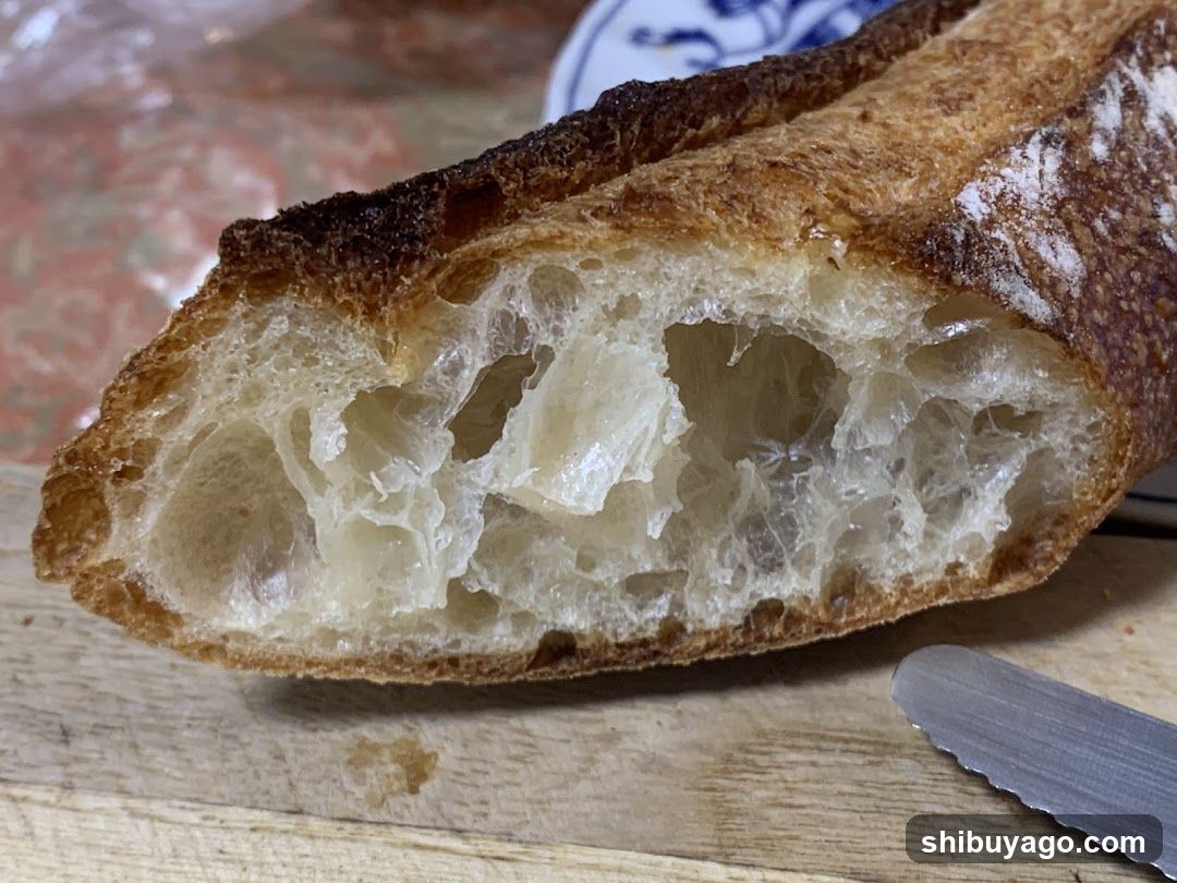 Baguette Cross-Section