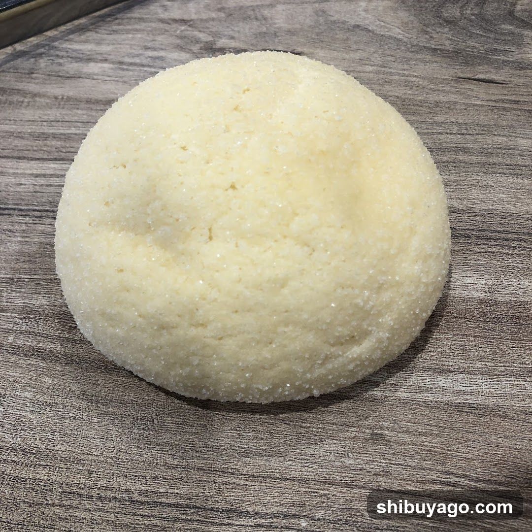 Sugar-Coated Dough Ball