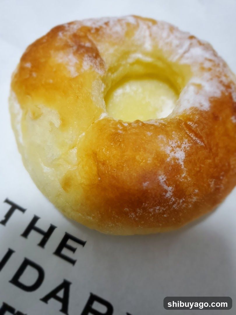 Glazed Donut on Paper