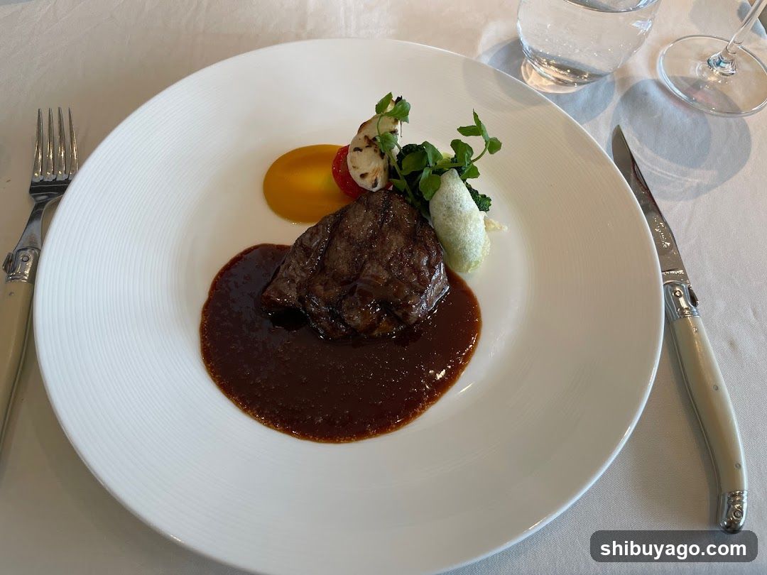 Steak with Sauce and Garnish