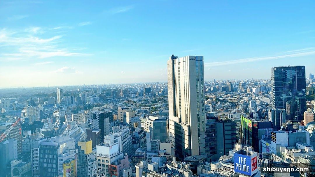 Tokyo Cityscape View