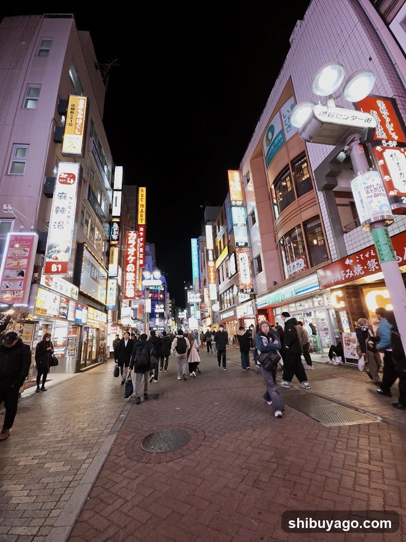 Nighttime Street Scene in Japan