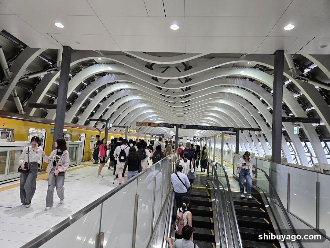 Subway Station Platform Interior