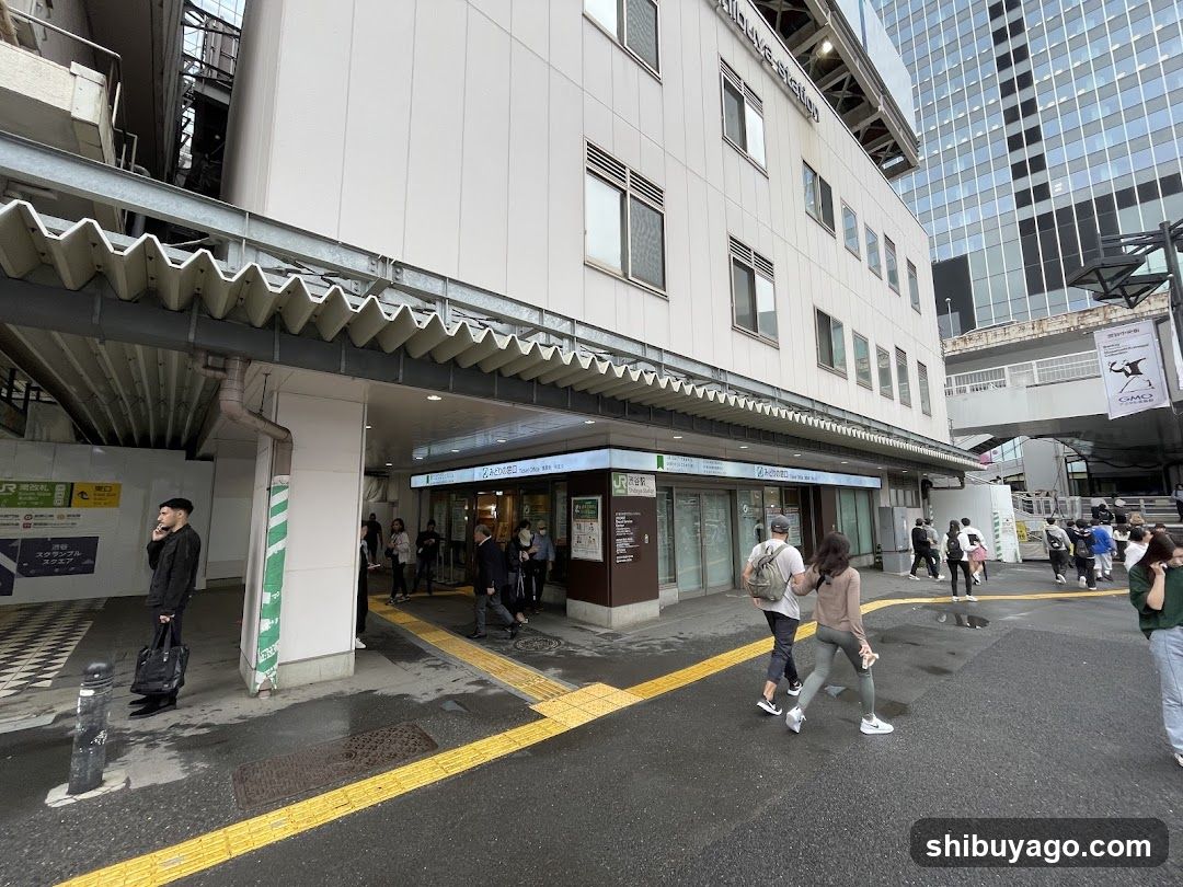 Tokyo Station Entrance Area