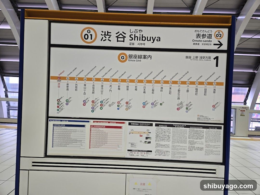 Shibuya Station Map