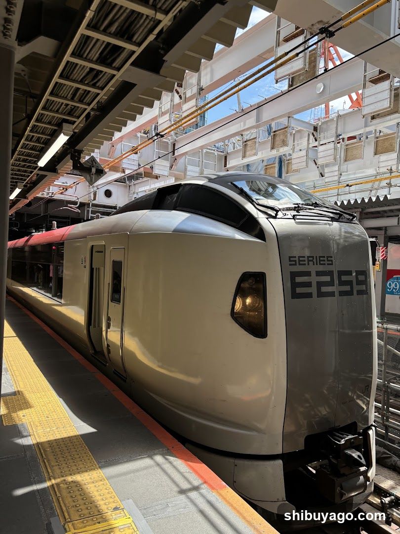 E259 Series Train at Station Platform